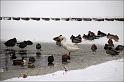 IMG_3298-border